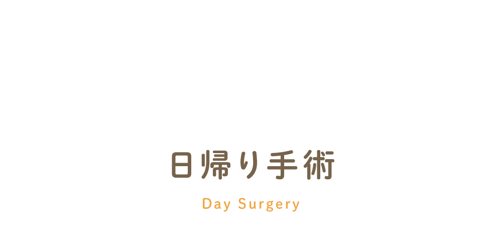 >日帰り手術 Day Surgery